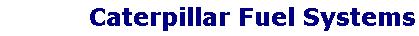 Caterpillar Fuel Systems, Caterpillar Fuel Pump, Caterpillar Fuel Injectors